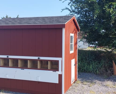 Chicken Coop