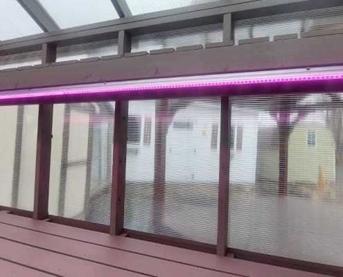 Grow Lights