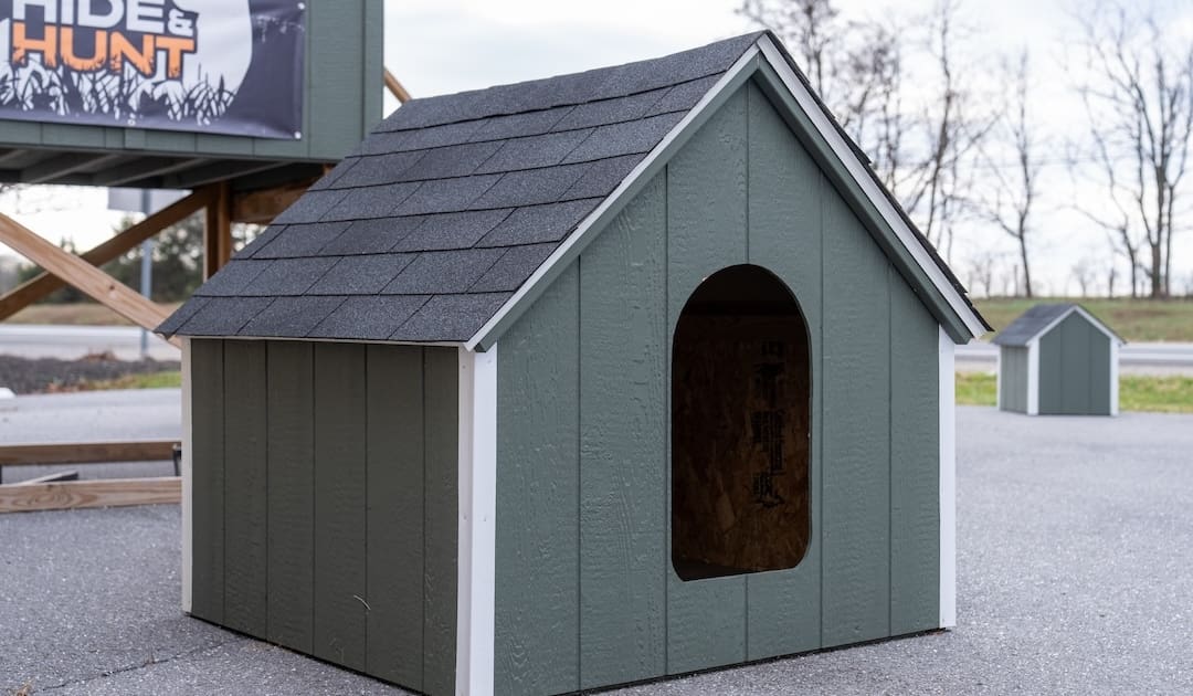dog house