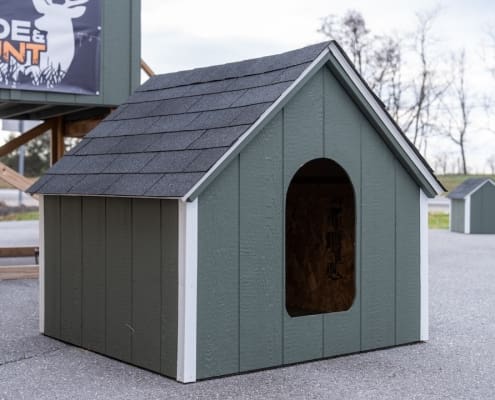 dog house