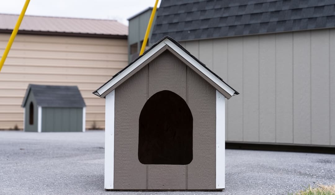 VS_DogHouse-5