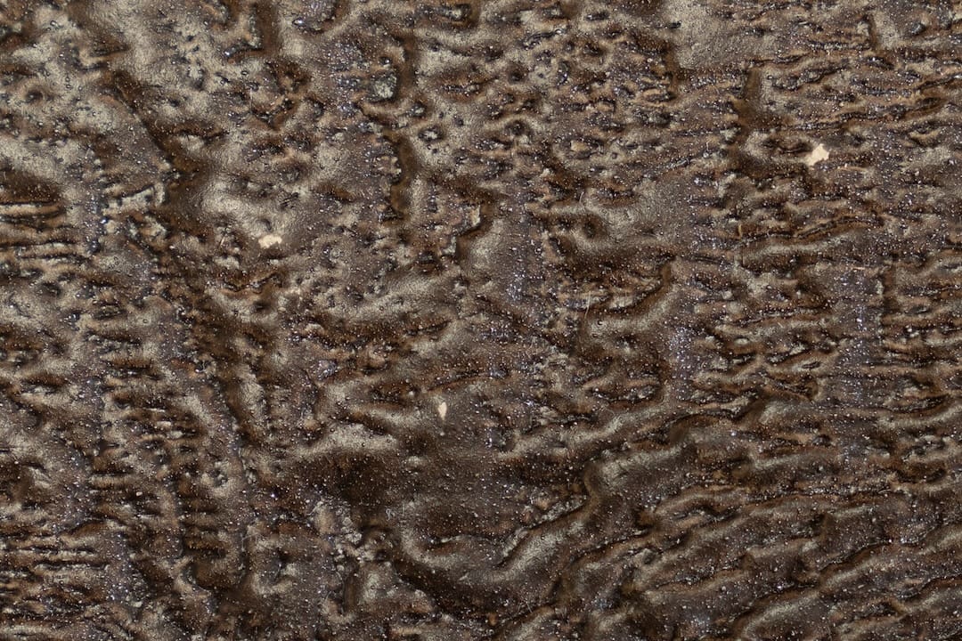 features_stain_ebony