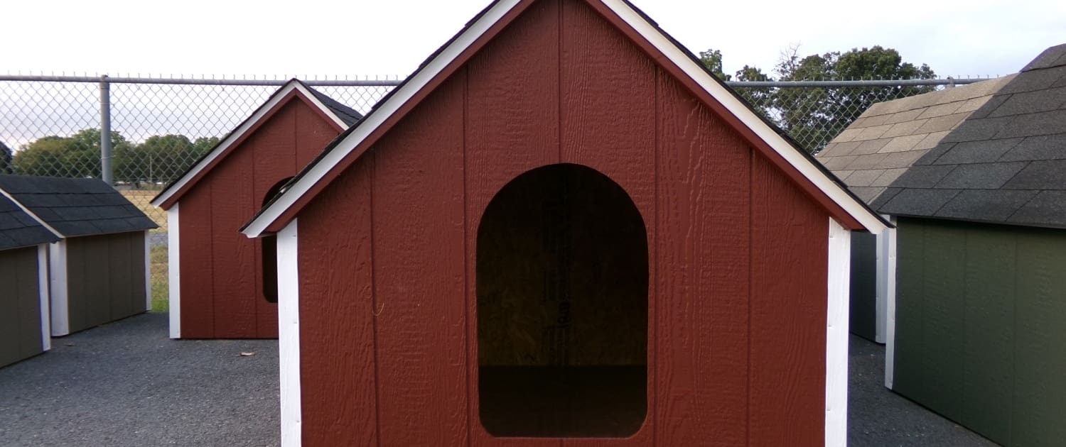 large dog house